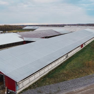Cobertura de granja e agroindústria